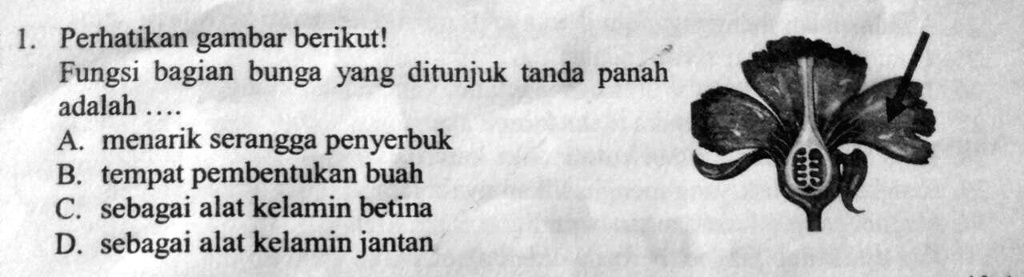 Solved Jawablah Pertanyaan Berikut Dengan Benar 1 Perhatikan Gambar Berikut Fungsi Bagian 4393