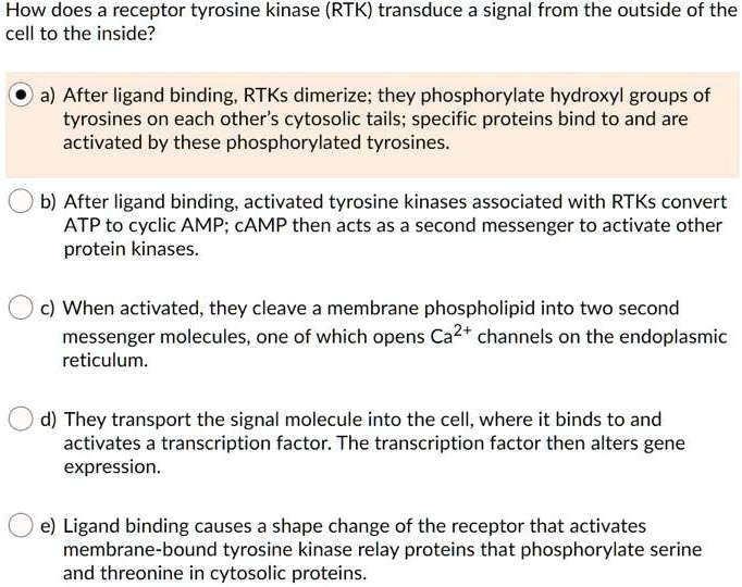 How Long Does It Take For Tyrosine To Work SOLVED: How does a receptor tyrosine kinase (RTK) transduce a signal