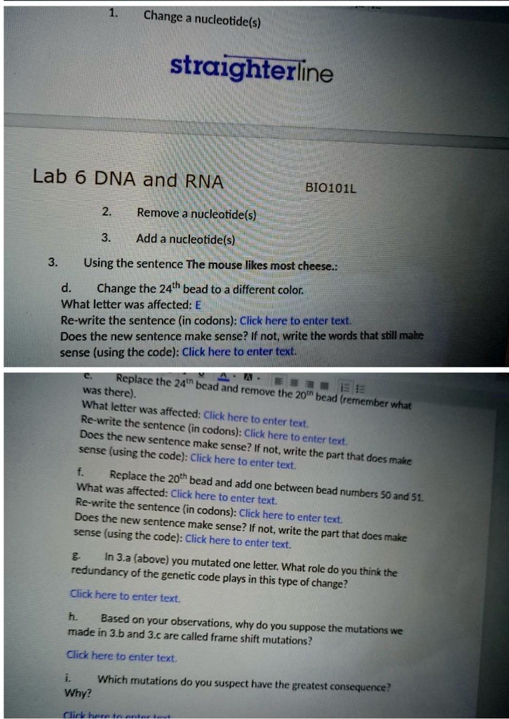 SOLVED Change nucleotide(s) Straighterline Lab 6 DNA and RNA BIO101L
