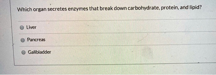Which organ secretes enzymes that break down carbohydrate, protein, and lipid?
Liver
Pancreas
Gallbladder