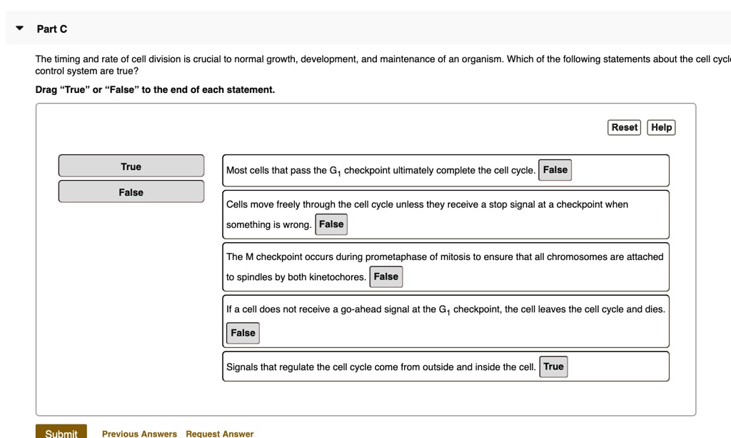 Which Of The Following Statements Regarding Cell Division Is False