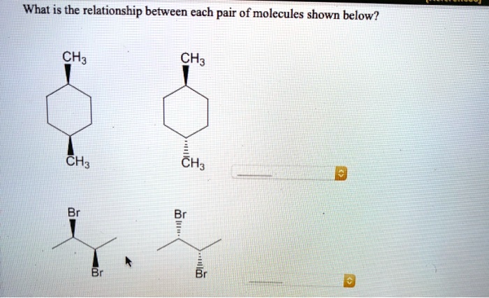 Solved What Is The Relationship Between Each Pair Of Molecules Shown Below Ch3 Ch3 Ch3 Ch3 1537