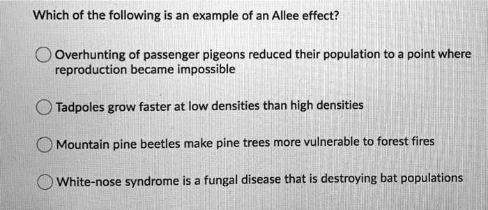 Which of the following is an example of an Allee effect?
Overhunting of passenger pigeons reduced their population to a point where reproduction became impossible
Tadpoles grow faster at low densities than high densities
Mountain pine beetles make pine trees more vulnerable to forest fires
White-nose syndrome is a fungal disease that is destroying bat populations
