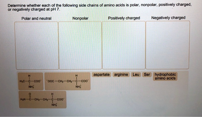 SOLVED: Determine whether each of the following side chains of amino ...