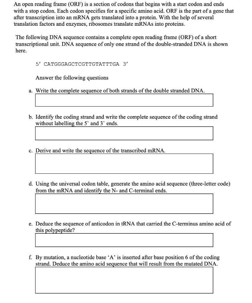 Solved: An Open Reading Frame (orf) Is A Section Of Codons That Begins 