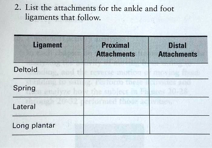SOLVED: 2. List the attachments for the ankle and foot ligaments that ... Biology Diagrams