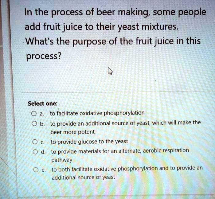 In the process of beer making some people add fruit juice to...