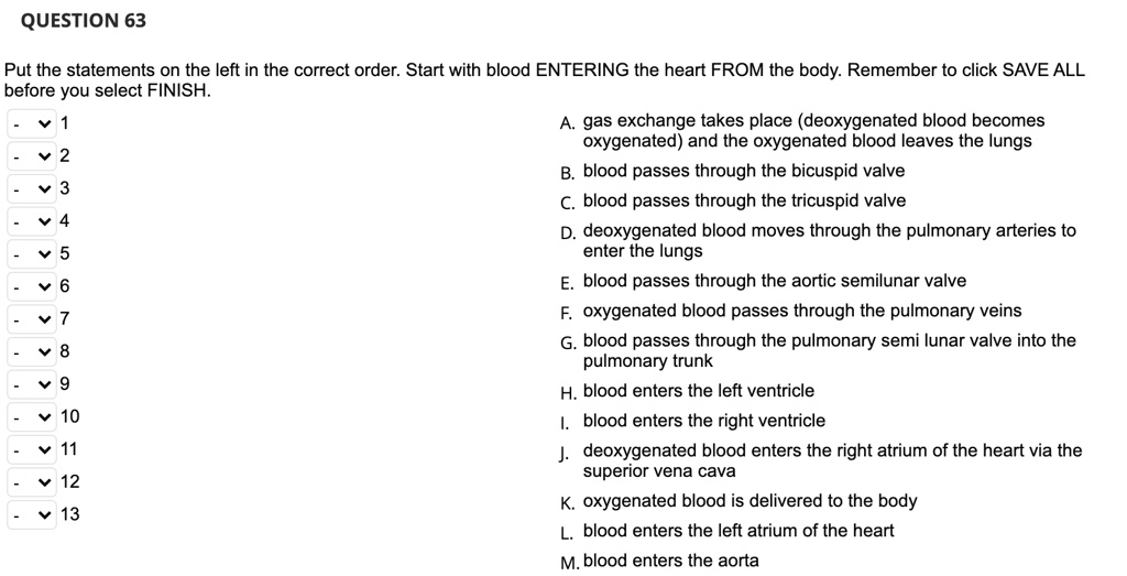 Put the statements on the left in the correct order. Start with blood ENTERING the heart FROM the body. Remember to click SAVE ALL before you select FINISH.
A. gas exchange takes place (deoxygenated blood becomes oxygenated) and the oxygenated blood leaves the lungs
B. blood passes through the bicuspid valve
C. blood passes through the tricuspid valve
D. deoxygenated blood moves through the pulmonary arteries to enter the lungs
E. blood passes through the aortic semilunar valve
F. oxygenated blood passes through the pulmonary veins
G. blood passes through the pulmonary semi lunar valve into the pulmonary trunk
H. blood enters the left ventricle
I. blood enters the right ventricle
J. deoxygenated blood enters the right atrium of the heart via the superior vena cava
K. oxygenated blood is delivered to the body
L. blood enters the left atrium of the heart
M. blood enters the aorta