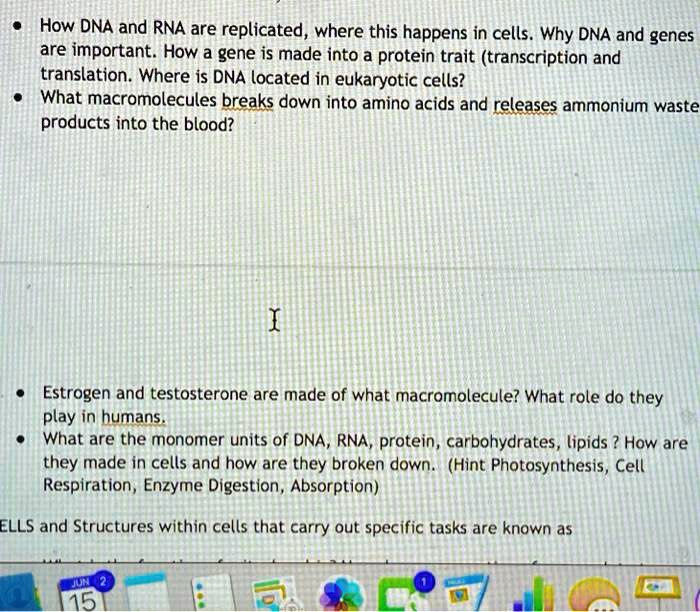 SOLVED How DNA and RNA are replicated, where this happens in cells