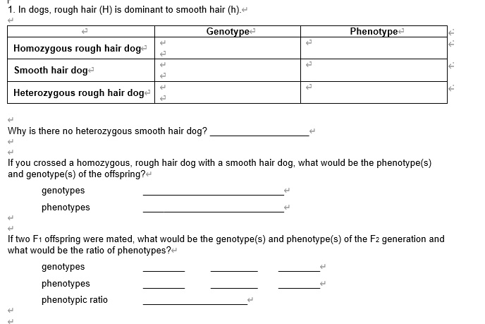 SOLVED: In dogs, rough hair (H) is dominant to smooth hair (h) Genotype  Phenotype Homozygous rough hair dog` Smooth hair dog Heterozygous rough hair  dog Why is there no heterozygous smooth hair