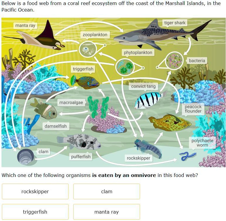 SOLVED: HELP ASAP GIVING BRAINLIST HELP!!!!! Below is a food web from a ...
