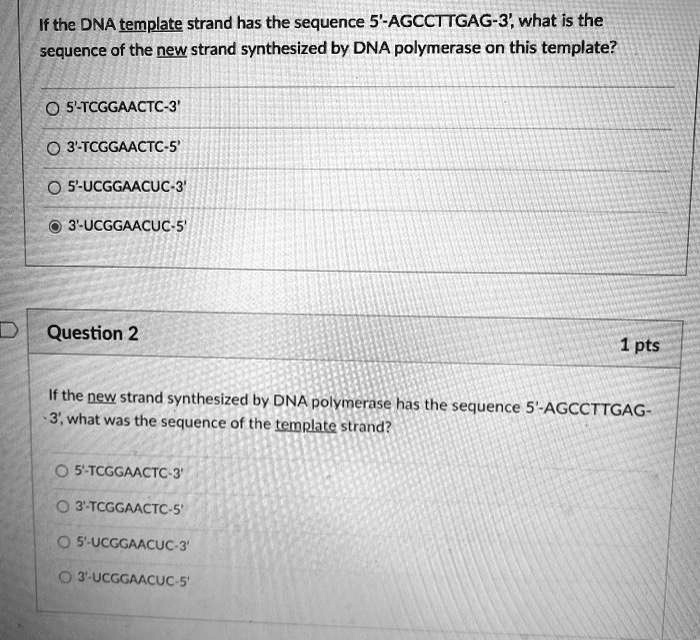 if the dna template strand has the sequence 5 agccttgag 3 what is the ...