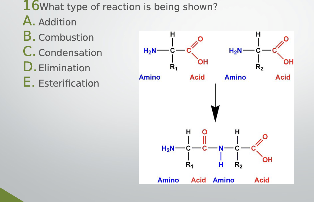 SOLVED: 16 What type of reaction is being shown? A. Addition B ...