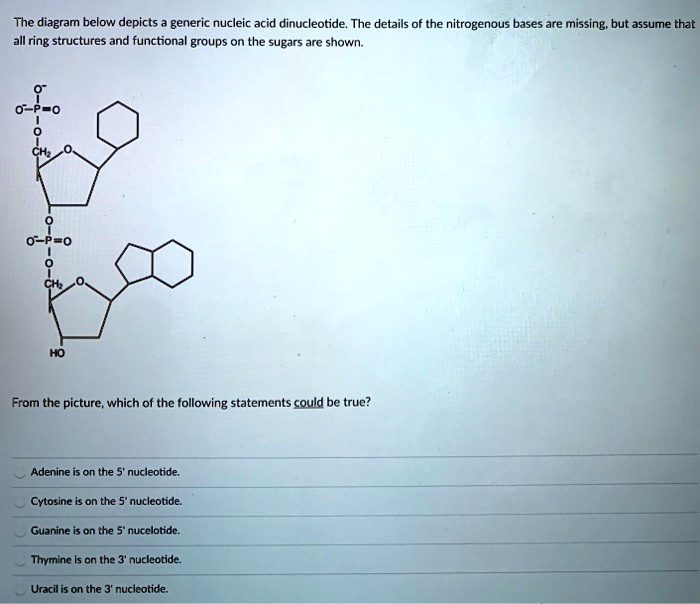 the diagram below depicts generic nucleic acid dinucleotide the details ...