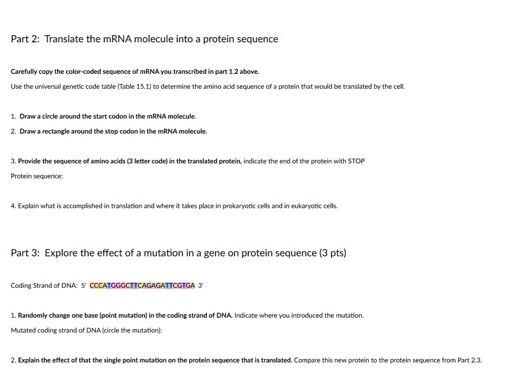 SOLVED: Part 2: Translate the mRNA molecule into a protein sequence ...