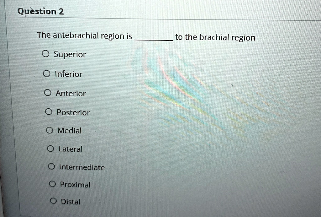 question 2 the antebrachial region is to the brachial region o superior ...