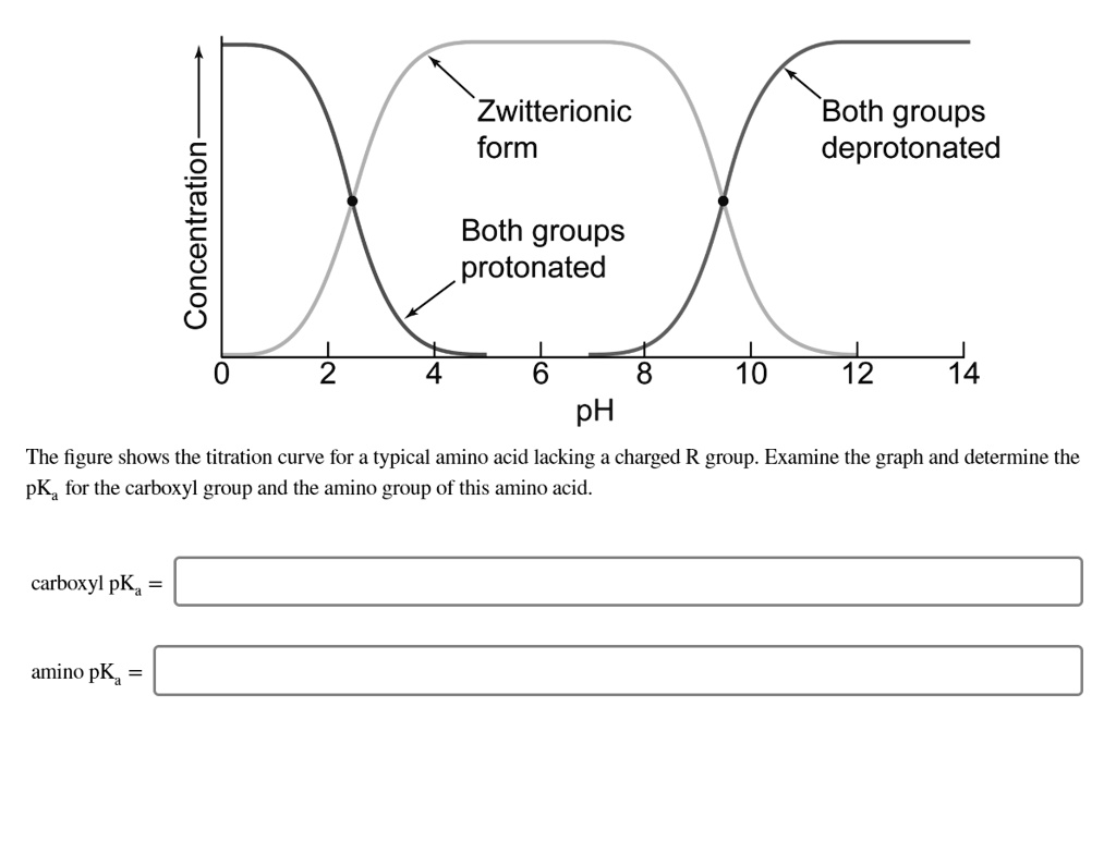 Zwitterionic Form Both Groups Deprotonated 1 Both Groups Protonated 10