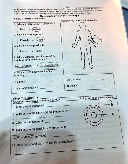 Name:
Using Marieb's Essentials of Human Anatomy and Physiology, answer each of the questions below as a
way to introduce yourself to concepts in Bio 18. You may use the text on reserve at the library's checkout
desk for 2 hour in-house use. Due by Thursday, second week of classes, at the start of class.
Questions to preview Bio 18 concepts
Chap. 1 - Orientation terms
1. Which is more lateral? (Circle one.)
Ulna or radius
2. Which is more superior?
Clavicle or ilium
3. Which is more proximal?
Patella or talus
4. What anatomical position would the
vertebrae have to the sternum?
Human body in Anatomical position
Anterior/ventral or posterior/dorsal
5. Which cavity houses each of the
following:
- the brain?
- the urinary bladder?
- the stomach?
- the lungs?
Chap. 2 - Chemistry
Questions associated with figure at right.
A diagram of an atomic model
6. What does A represent?
C
7. What subatomic particle(s) are present in A?
B
O
A
8. What does B represent?
9. What subatomic particles are present in B?
10. What does C represent?
11. How many total particles can be present here?