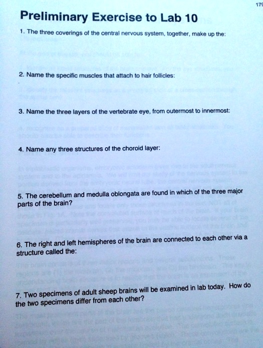 preliminary exercise to lab 10 the three coverings of the central ...