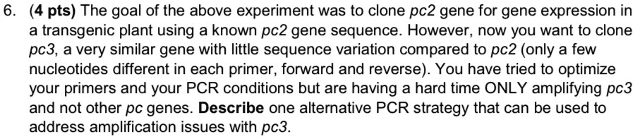 6. (4 pts) The goal of the above experiment was to clone pc2 gene for gene expression in
a transgenic plant using a known pc2 gene sequence. However, now you want to clone
pc3, a very similar gene with little sequence variation compared to pc2 (only a few
nucleotides different in each primer, forward and reverse). You have tried to optimize
your primers and your PCR conditions but are having a hard time ONLY amplifying pc3
and not other pc genes. Describe one alternative PCR strategy that can be used to
address amplification issues with pc3.