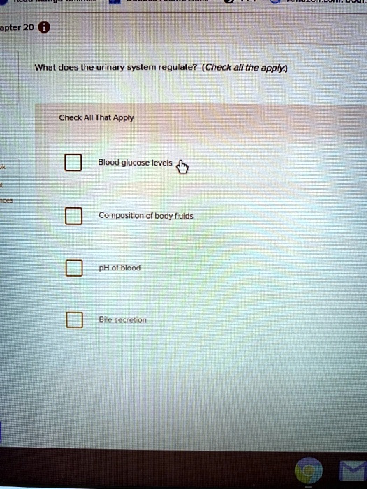 HOW DOES THE URINARY SYSTEM REGULATE BLOOD PRESSURE visual data 7