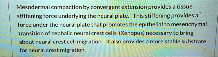 SOLVED:Mesodermal compaction by convergent extension provides a tissue ...