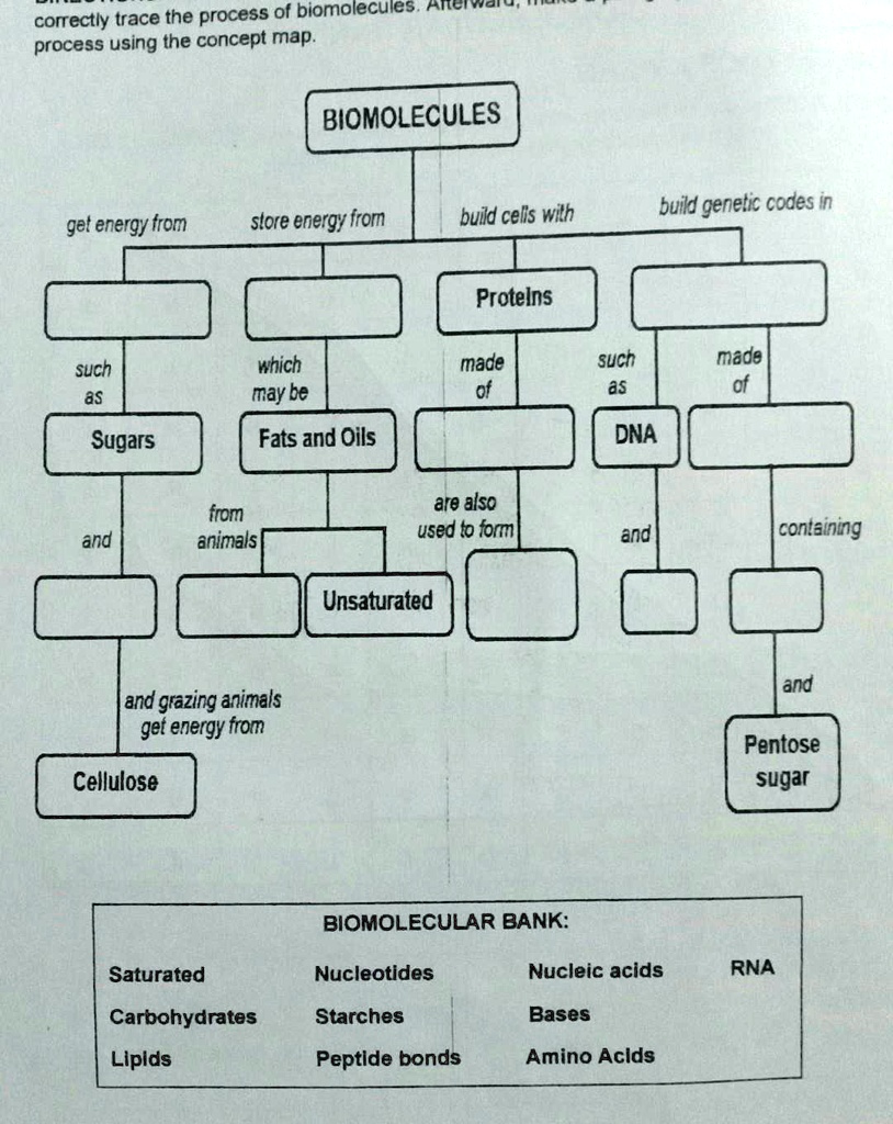 Please help with science. Process of biomolecules Acetate correctly