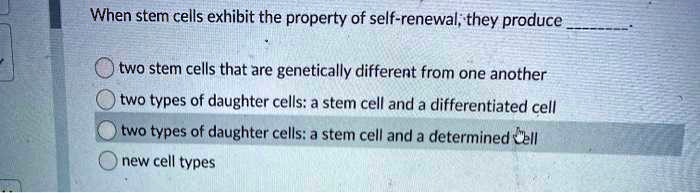When stem cells exhibit the property of self-renewal; they produce .
two stem cells that are genetically different from one another
two types of daughter cells: a stem cell and a differentiated cell
two types of daughter cells: a stem cell and a determined cell
new cell types