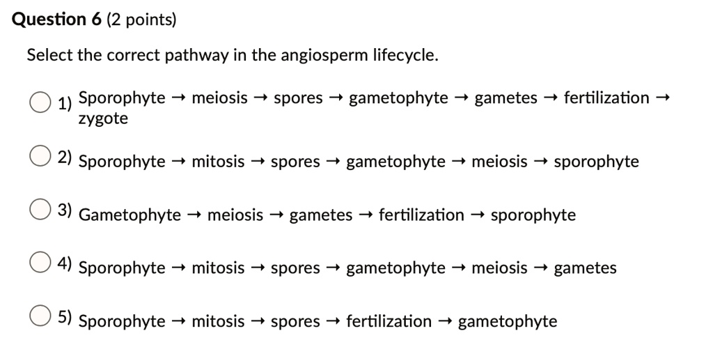 SOLVEDQuestion 6 (2 points) Select the correct pathway in the