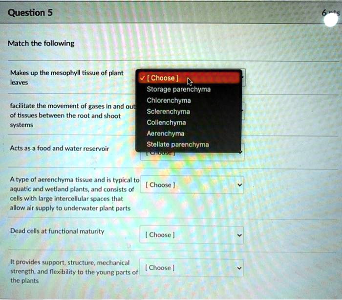 SOLVED Question 5 Match the following Makes up the mesophyll tissue of
