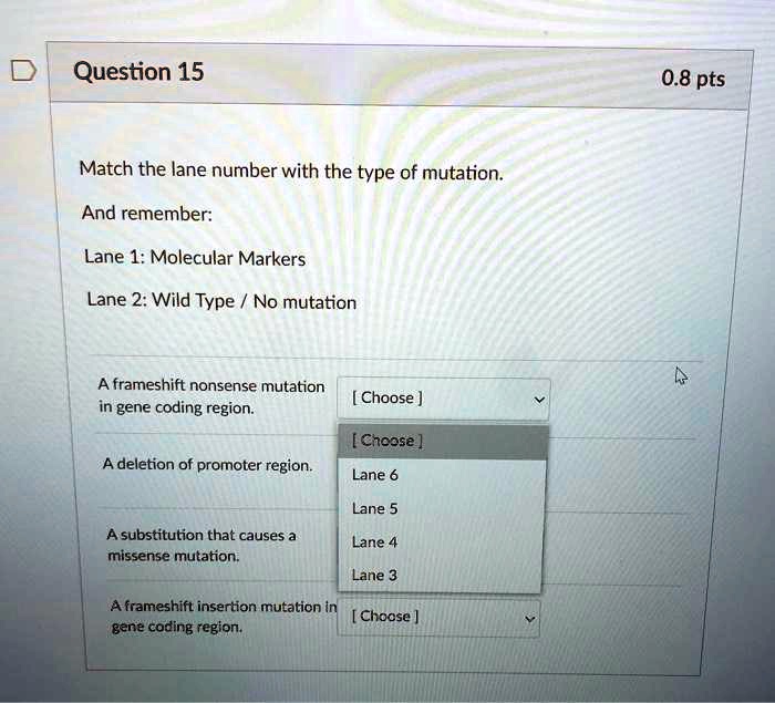 SOLVEDQuestion 15 0.8 pts Match the lane number with the type of
