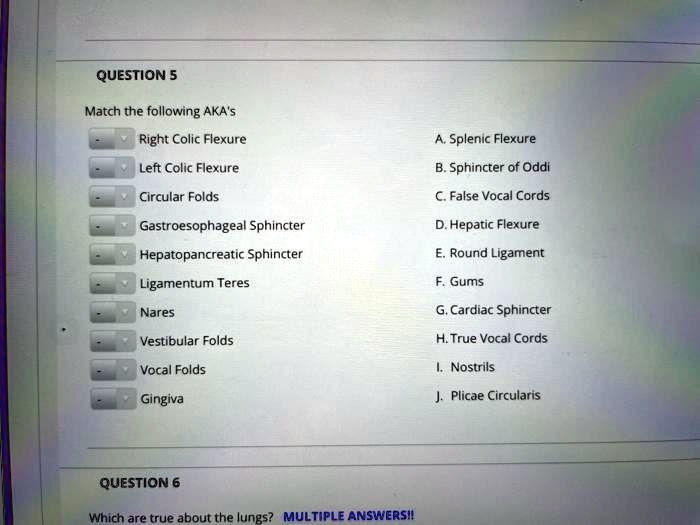 SOLVED QUESTION5 Match the following AKA's Right Colic Flexure A