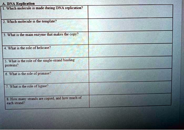 A. DNA Replication
1. Which molecule is made during DNA replication?
2. Which molecule is the template?
3. What is the main enzyme that makes the copy?
4. What is the role of helicase?
5. What is the role of the single-strand binding
proteins?
6. What is the role of primase?
7. What is the role of ligase?
8. How many strands are copied, and how much of
each strand?