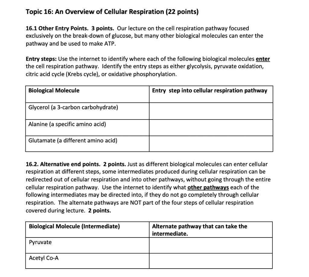 solved-topic-16-an-overview-of-cellular-respiration-22-points-16-1