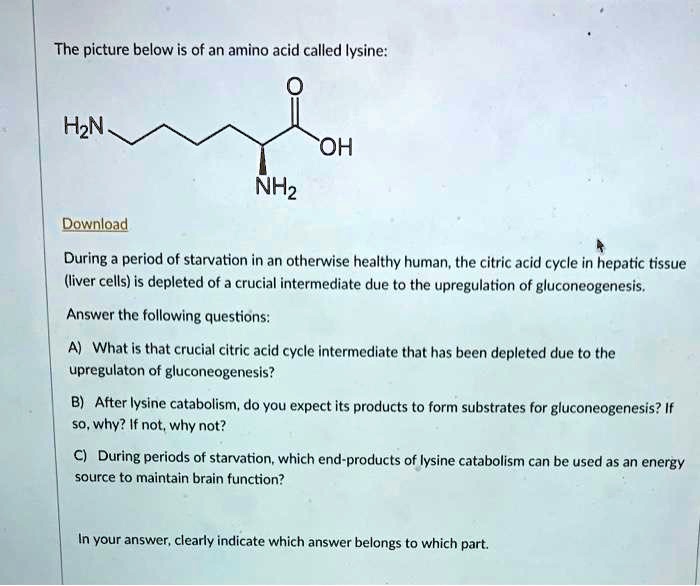 SOLVED The picture below is of an amino acid called lysine. H2N OH NH2