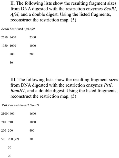 SOLVED:II The following lists show the resulting fragment sizes from ...