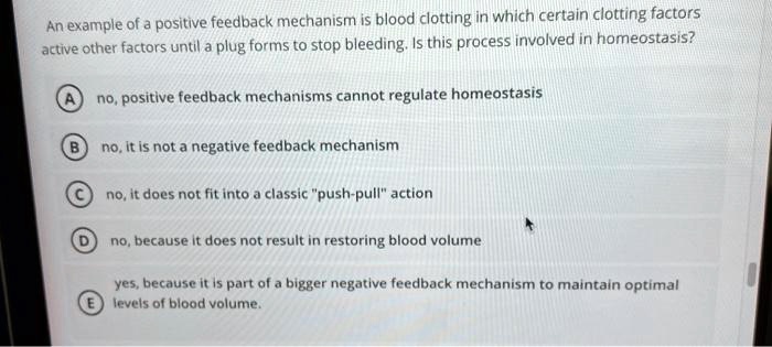 An example of a positive feedback mechanism is blood clotting in which certain clotting factors active other factors until a plug forms to stop bleeding. Is this process involved in homeostasis?

A no, positive feedback mechanisms cannot regulate homeostasis
B no, it is not a negative feedback mechanism
C no, it does not fit into a classic "push-pull" action
D no, because it does not result in restoring blood volume
E yes, because it is part of a bigger negative feedback mechanism to maintain optimal levels of blood volume.