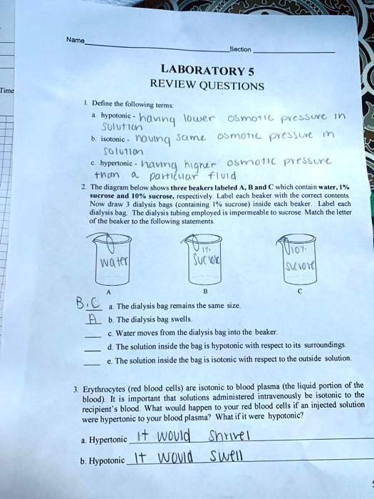 SOLVED LABORATORY 5 REVIEW QUESTIONS Define the following terms 1