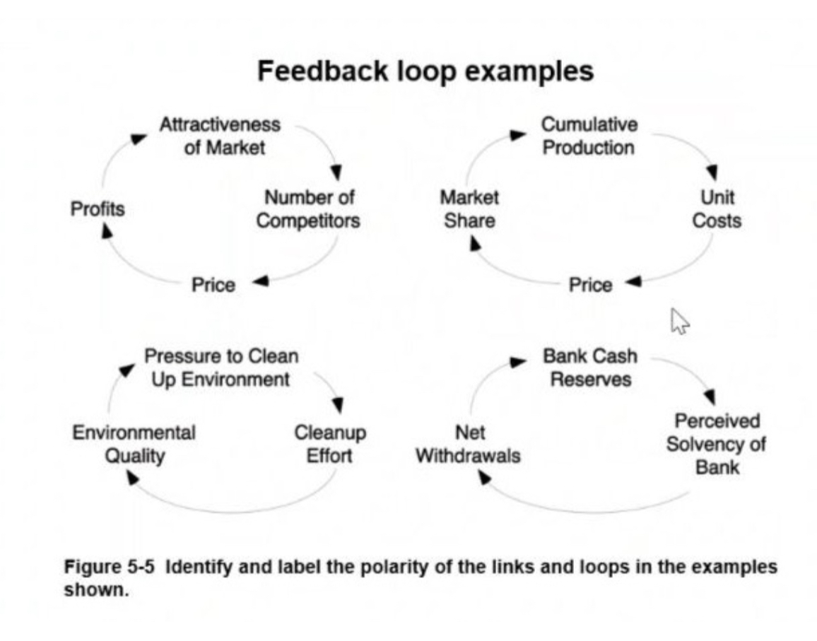 SOLVED: Feedback loop examples Figure 5-5 Identify and label the ...