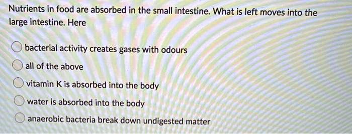 Nutrients in food are absorbed in the small intestine. What is left moves into the large intestine. Here
bacterial activity creates gases with odours
all of the above
vitamin K is absorbed into the body
water is absorbed into the body
anaerobic bacteria break down undigested matter