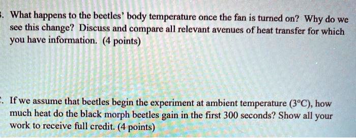 What happens to the beetles' body temperature once the fan is turned on ...