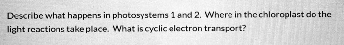 Describe what happens in photosystems 1 and 2. Where in the chloroplast do the light reactions take place. What is cyclic electron transport?