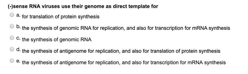 (-)sense RNA viruses use their genome as direct template for
a. for translation of protein synthesis
b. the synthesis of genomic RNA for replication, and also for transcription for mRNA synthesis
c. the synthesis of genomic RNA
d. the synthesis of antigenome for replication, and also for translation of protein synthesis
e. the synthesis of antigenome for replication, and also for transcription for mRNA synthesis