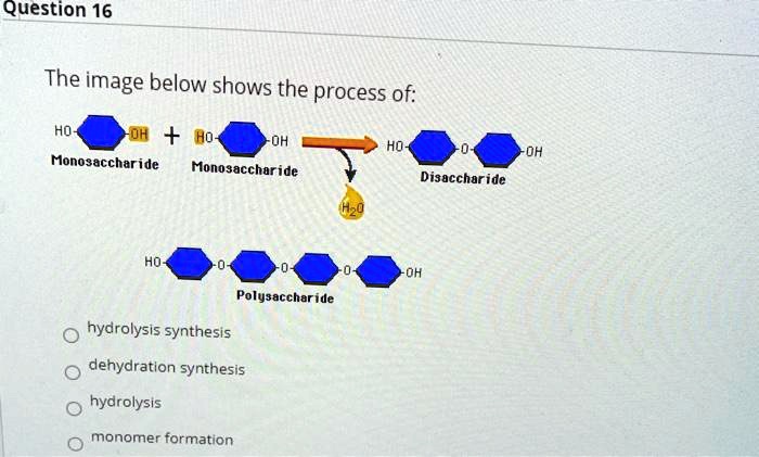 Question The Image Below Shows The Process Of H Ho Nonosacchar Ide Monosaccharide