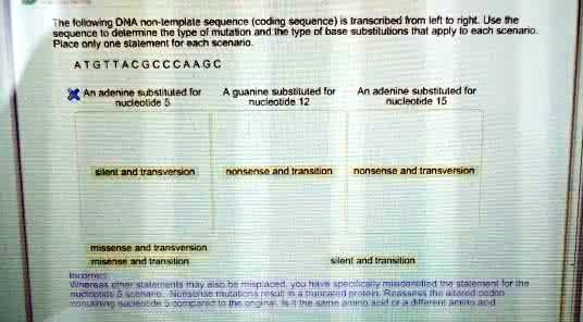 The following DNA non-template sequence (coding sequence) is ...