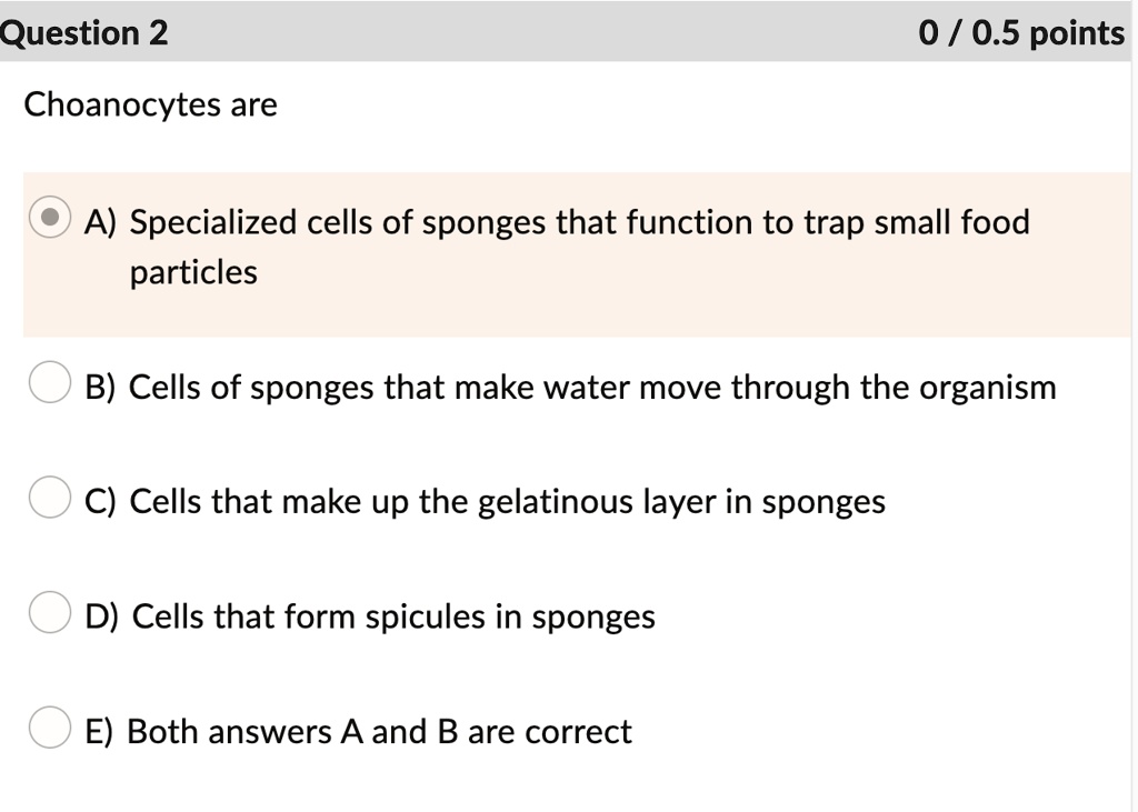SOLVED Question 2 0 / 0.5 points Choanocytes are A) Specialized cells of sponges that function
