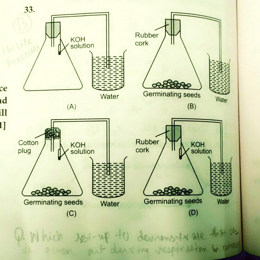 SOLVED: 'which setup to demonstrate that CO2 is given out during ...