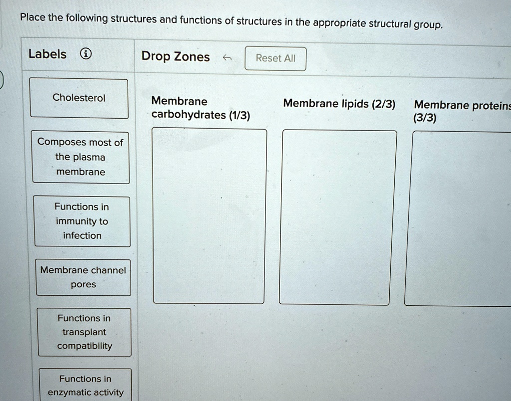 place the following structures and functions of structures in the ...
