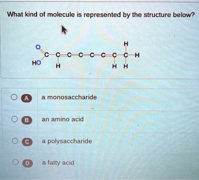 What kind of molecule is represented by the structure below?
O
C-C-C-C-C-C-C-C-H
HO
H
H
H
H
A a monosaccharide
B an amino acid
C a polysaccharide
D a fatty acid