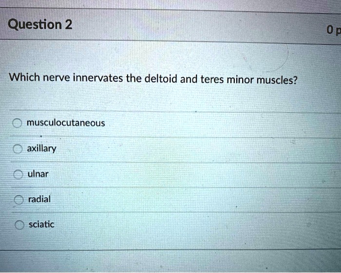 SOLVED: Which Nerve Innervates The Deltoid And Teres Minor Muscles ...